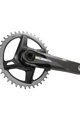 SRAM Kurbeln und Kettenblätter - FORCE 1X D2 DUB IRIDESCENT 175mm - Schwarz