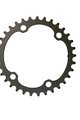 SRAM Kettenblatt - ROAD 35 107BCD 2x12 FORCE BLAST - Schwarz