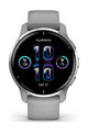 GARMIN Smartwatch - VENU 2 PLUS - Grau/Silber