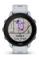 GARMIN Smartwatch - FORERUNNER 955 SOLAR - Grau