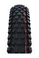 SCHWALBE Reifen - ALBERT GRAVITY PRO 29x2.50 EVOLUTION 67EPI - Schwarz