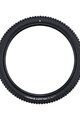 SCHWALBE Reifen - ALBERT GRAVITY PRO 29x2.50 EVOLUTION 67EPI - Schwarz