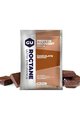 GU Ernährung für Radfahrer - ROCTANE RECOVERY DRINK MIX 62 G CHOCOLATE SMOOTHIE