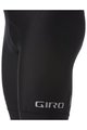 GIRO Kurze Fahrradhose mit Trägern - CHRONO SPORT - Schwarz