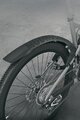 SKS Schutzblech - MUDROCKER REAR - Schwarz