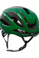 KASK Fahrradhelm - ELEMENTO WG11 - Grün