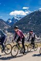 ALÉ Langarm Fahrradtrikot für den Winter - CIRCUS PR-S - Lila