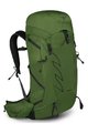 OSPREY Rucksack - TALON 33 L/XL - Grün