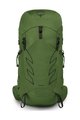 OSPREY Rucksack - TALON 33 L/XL - Grün