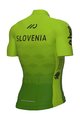 ALÉ Kurzarm Radtrikot und Shorts - SLOVENIA NATIONAL 22 - Grün/Blau