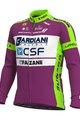 ALÉ Langarm Fahrradtrikot für den Winter - BARDIANI CSF 20 WNT - Grün/Lila