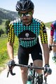 BIANCHI MILANO Kurzarm Fahrradtrikot - MASSARI - Gelb/Hellblau