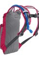 CAMELBAK Rucksack - MINI M.U.L.E.® 3L - Rosa/Lila