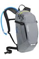 CAMELBAK Rucksack - M.U.L.E.® 12L - Grau