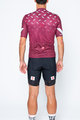 CASTELLI Kurzarm Radtrikot und Shorts - AVANTI II - bordeaux/Schwarz