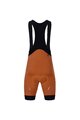 HOLOKOLO Kurzarm Radtrikot und Shorts - DRAGON - Orange/Braun/Hellgrün