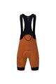 HOLOKOLO Kurzarm Radtrikot und Shorts - DRAGON - Orange/Braun/Hellgrün