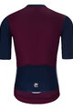 HOLOKOLO Kurzarm Radtrikot und Shorts -   - Schwarz/bordeaux/Grau