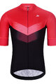 HOLOKOLO Kurzarm Radtrikot und Shorts - ARROW II - Schwarz/Rot