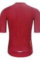 HOLOKOLO Kurzarm Radtrikot und Shorts - EYELET - Beige/bordeaux