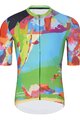 HOLOKOLO Kurzarm Radtrikot und Shorts - DEER - mehrfarbig/Grün