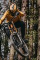 ROCDAY Langarm Fahrradtrikot für den Sommer - MOUNT - Blau/Grau