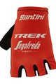 SANTINI TREK SEGAFREDO 2022 - Schwarz/Rot