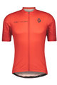 SCOTT Kurzarm Radtrikot und Shorts - RC TEAM 10 - Grau/Schwarz/Rot