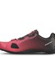 SCOTT Fahrradschuhe - ROAD COMP BOA - Rot/Schwarz