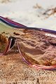 TIFOSI Fahrradsonnenbrille - SIZZLE - Lila