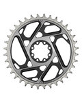 SRAM Kettenblatt - T-TYPE 38T  - Silber/Schwarz