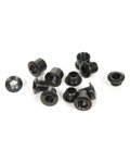 SRAM Schraubensatz - CRANK CHAINRING BOLT KIT 4-ARM - Schwarz