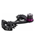 SRAM Riemenscheiben - CAGE ASSEMBLY KIT GX T-TYPE EAGLE AXS - Schwarz