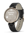 GARMIN Smartwatch - LILY - Schwarz/Gold