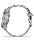 GARMIN Smartwatch - VENU 2 PLUS - Grau/Silber