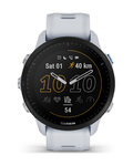 GARMIN Smartwatch - FORERUNNER 955 - Grau