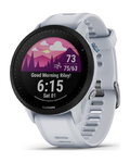 GARMIN Smartwatch - FORERUNNER 955 - Grau