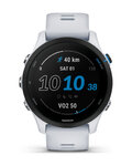 GARMIN Smartwatch - FORERUNNER 255 MUSIC - Grau