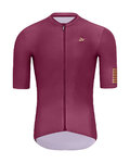 HOLOKOLO Kurzarm Fahrradtrikot - VICTORIOUS GOLD - bordeaux