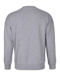 HOLOKOLO Kapuzenpullover - PELOTON - Grau/mehrfarbig