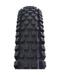 SCHWALBE Reifen - ALBERT GRAVITY PRO 29x2.50 EVOLUTION 67EPI - Schwarz
