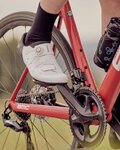 SHIMANO Fahrradschuhe - SH-RC502 - Weiß