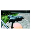 SELLE ROYAL Sattel - ELLIPSE MODERATE - Schwarz