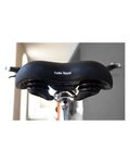 SELLE ROYAL Sattel - LOOKIN MODERATE - Schwarz