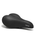 SELLE ROYAL Sattel - AVENUDE MODERATE - Schwarz