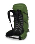 OSPREY Rucksack - TALON 33 L/XL - Grün