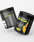 ENDORPHIN NUTRITION Drink - RECOVERY FUEL 500g