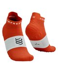 COMPRESSPORT Knöchelhohe Fahrradsocken - PRO RACING SOCKS V4.0 RUN - Rot