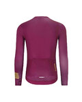 HOLOKOLO Langarm Radtrikot und Hose - VICTORIOUS GOLD - bordeaux/Schwarz