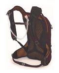 OSPREY Rucksack - RAVEN 10 LADY - Lila
